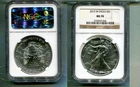 2013 W AMERICAN SILVER EAGLE 1 OUNCE .999 FINE BURNISHED COIN NGC MS70 8171T