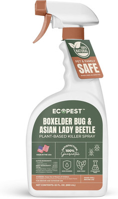 Boxelder Bug & Asian Lady Beetle Spray   Natural, Plant-Based Indoor & Outdoor K
