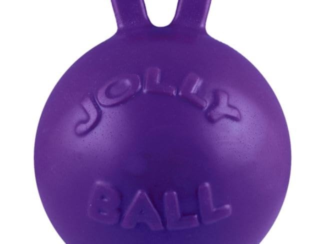 Jolly Pets Tug N Toss 4.5 Inch Purple Dog Toy Durable Floating Fetch Toy