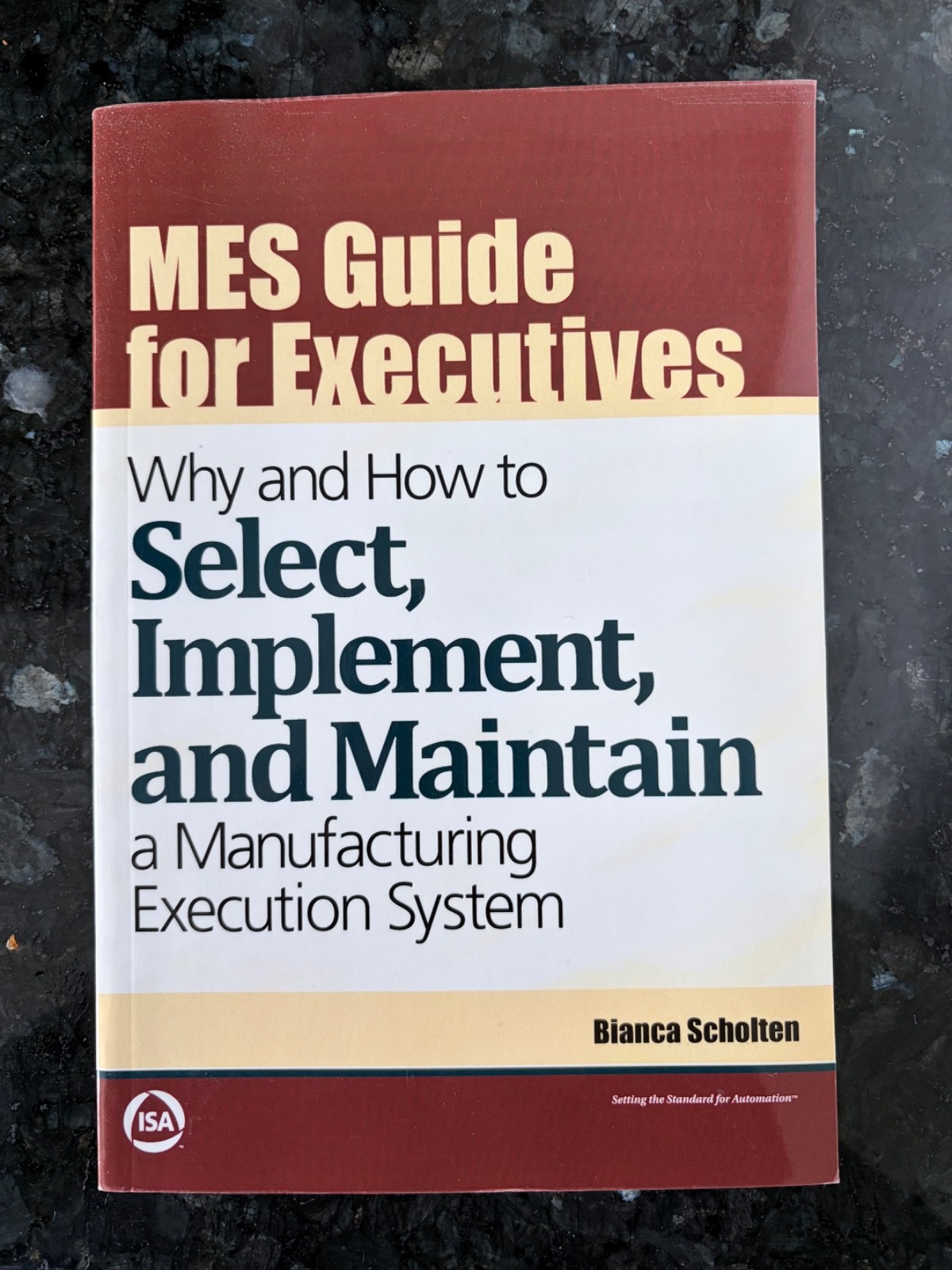 MES Guide for Executives: Why and How to Select, Implement, and Maintain ...