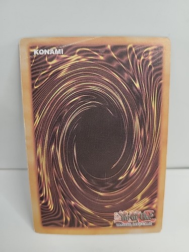 Yu-Gi-Oh! TCG Fake Card Poorly Translated Funny Holo - Blue Eyes White Dragon - Picture 2 of 4
