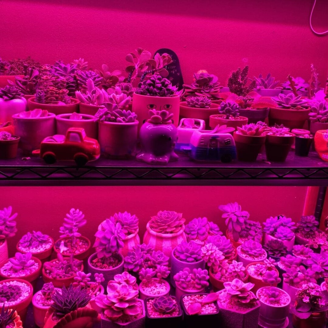 Picture 17 of 17