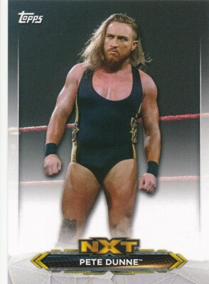 NXT-35 PETE DUNNE 2020 Topps WWE NXT ROSTER CARD