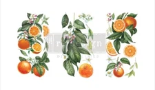 NEW! Citrus Slice - Redesign With Prima Mini Decor Transfer Furniture Decal