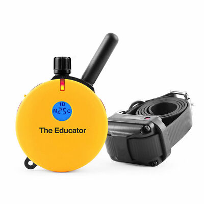 E-Collar Technologies Remote Training Collar 3/4 Mile ET-400 CAR CHARGER FREE!