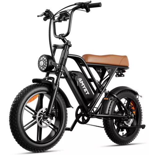 AMYET Electric Bike Peak 1500W E bike 48V/20Ah 20" Fat Tire Mountain Bicycle US