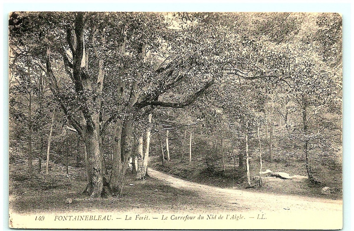 クロード・モネ、Road in the Forest of Fontainebl S03-0392, FONTAINEBLEAU, LA FORET, LE CARREFOUR DU NID DE L'AIGLE