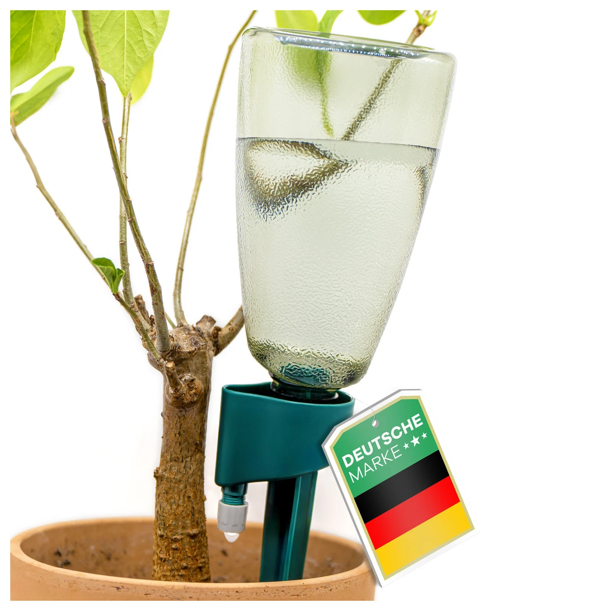 hofmann saatgut Saatgut Fugenmischung – Trittfest & pflegearm – WildLand main image 1