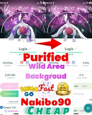 Pokemon✨Shiny Lugia Wild Area Special Background✨(purified)✨P