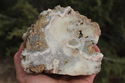 BEAUTIFUL - MINERAL - LUNA  AGATE - Catron County, New Mexico -