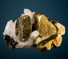 Harris coll Pyrite on Quartz Butte, Silver Bow County, Montana 1807-W30