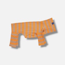 Mantequilla de maní naranja Little Beast para perros y gatos talla XS