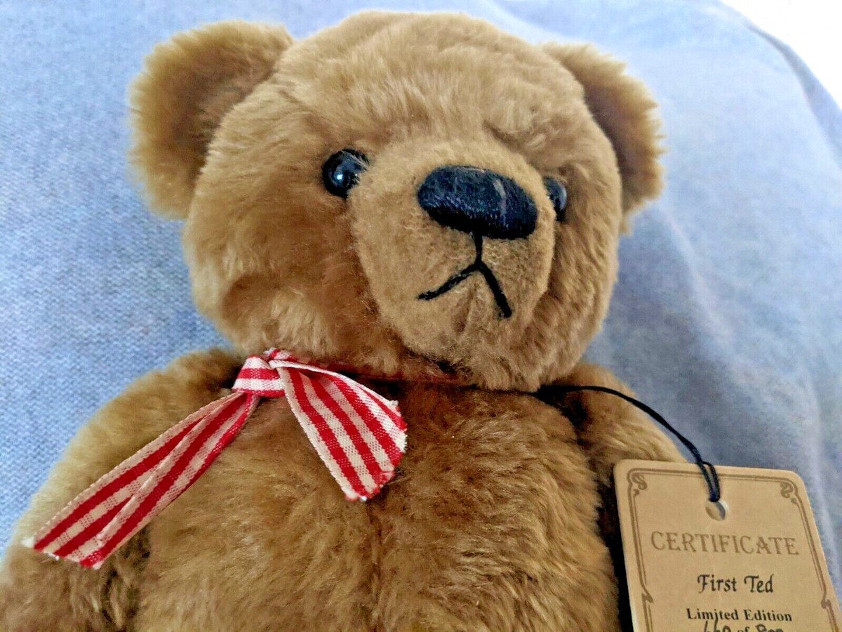 Robin Rive Jointed Limited Edition Bear First Ted 13 Robin Rive Jointed Limited Edition Bear First Ted 13