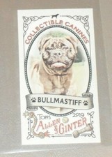 2019 Topps Allen and Ginter Collectible Canines Bullmastiff Mini CC-20          