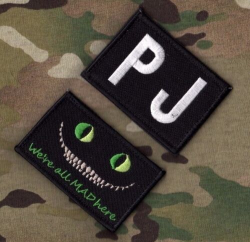 AFSOC JTF MEDEVAC COMBAT MEDIC PARARESCUE vêlkrö INSIGNIA: LIMITS ARE A MINDSET - Picture 3 of 12