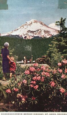 Vintage Postcard Rhododendrons Border Highway Attraction Mount Hood Oregon OR
