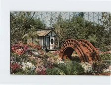 Postcard Azalea Show, Mitchell Park Horticultural Conservatory, Milwaukee, WI