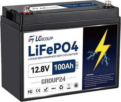 12V 100Ah Battery LiFePO4 Lithium Group 24 Battery for RV Marine Solar 100A BMS