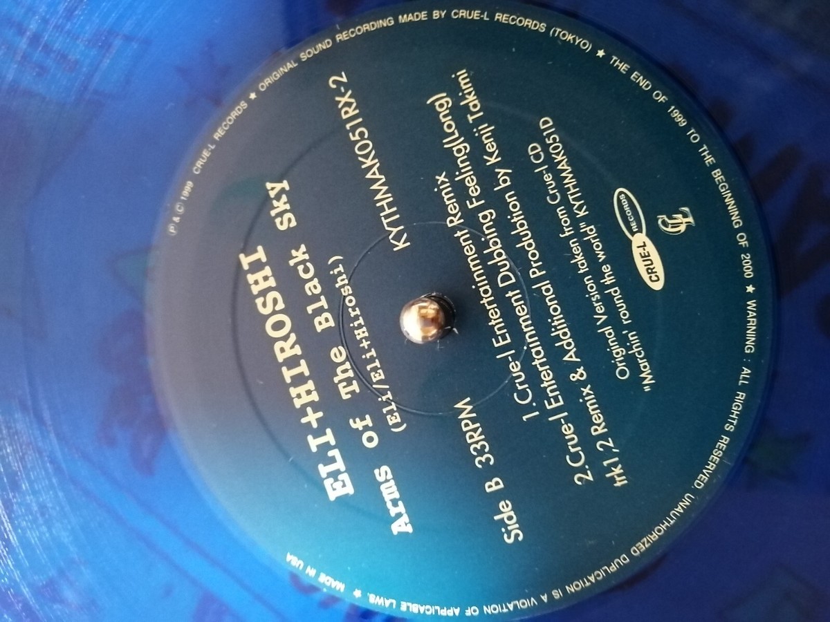 HIROSHI FUJIWARA 12in vinyl 貴重2枚セット Eri+Hiroshi Arm of the black sky 12 color vinyl japan