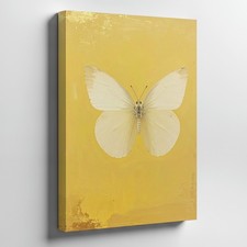 Canvas Wall Art a Pale Yellow Butterfly with Delicate Nearly Translucent Wings