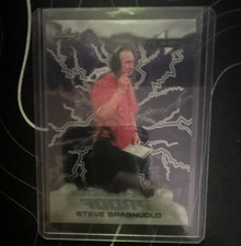 Leaf Flash Pre-Production Proof One of One Steve Spagnuolo Sports Trading Card