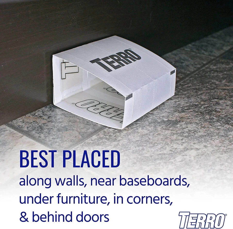 Trampa para arañas e insectos no tóxica (4 unidades) Foto 3 de 4