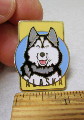 Alaska metal magnet Cute Alaska Malemute Sled Dog Husky, 1.5 x 1.25 inch