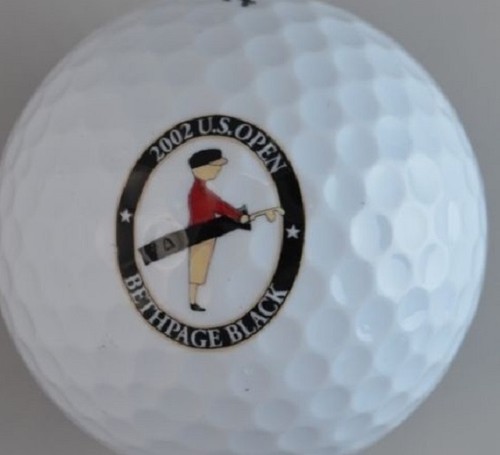 (36) 3 Dozen US Open ( 2002 Bethpage Black) Callaway Mix AAAA Used Golf Balls