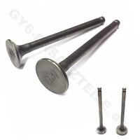 139QMB / QMA Ventile Z.B.FüR China Roller Scooter Moped Buggy ATV 50Cc GY6 4TAKT