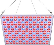 Wachstumslichter 75W Rot Blau für Gewächshauspflanzen Gemüse Knospen