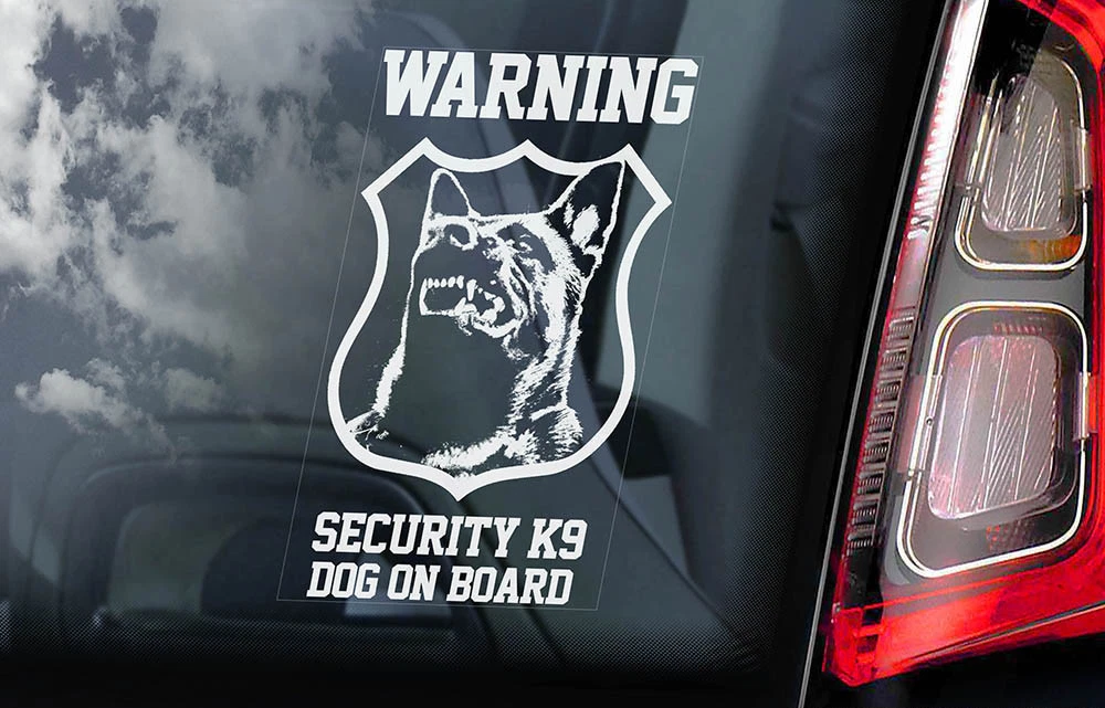 Dog car security top