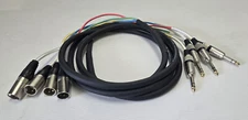 Seismic Audio SAXT-4x10M 1/4" TRS to XLR Male 4 Channel 10ft Audio Snake Cable