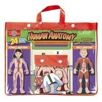 T.s. Shure Human Anatomy Wooden Magnetic Figures , New, Free Shipping on sale T.s. Shure Human Anatomy Wooden Magnetic Figures , New, Free Shipping on sale