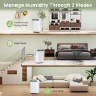 32 Pints Dehumidifier 2000 Sq.Ft Portable Dehumidifier w/ 3-Color Indicator