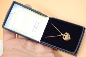 Authentic Bradford Exchange Endless Love 925 Silver 18K Gold Plated Mocha Diamond Necklace