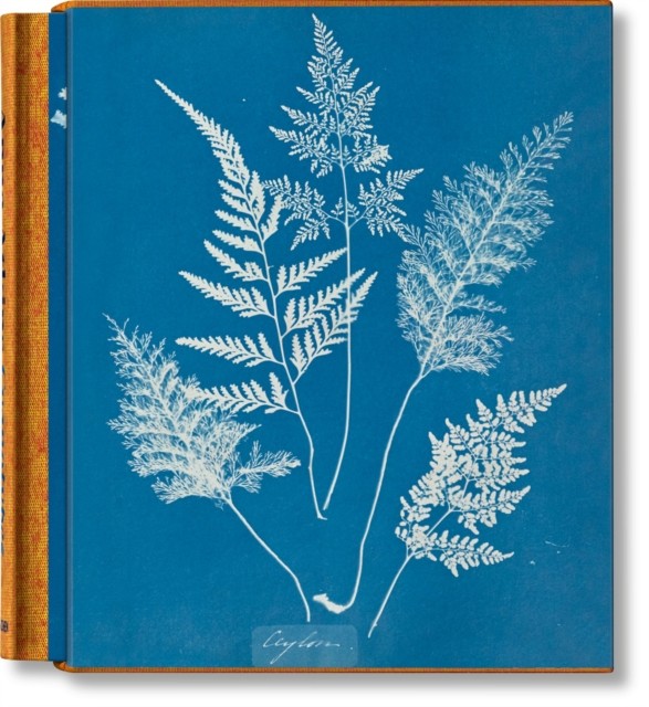Anna Atkins. Cyanotypes by Peter Walther HARDBACK 9783836596039