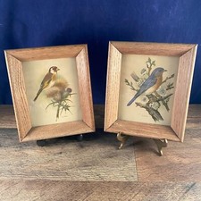 Pair of Vintage PH Gonner Bird Prints Framed Redhead Finch Bluejay 