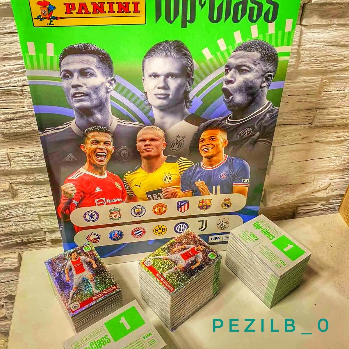 TOP CLASS panini complete set with all 366 stickers new