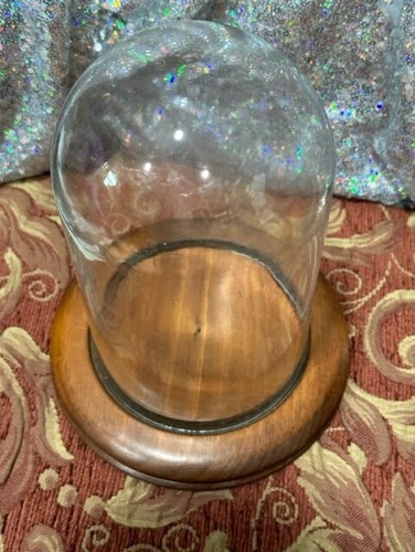 Clear Glass DISPLAY DOME & Wood Base 4-1/4 "w x 8 (6-5/8x9) - Picture 2 of 8