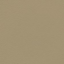 GM Medium Light Neutral Leather Dye