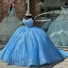 Strapless Princess dresses Ball Gown Appliques Beading Sleeveless Court Train