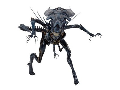 Aliens - Xenomorph Queen Ultra Luxus Verpackt - 38.1cm Neca 13859