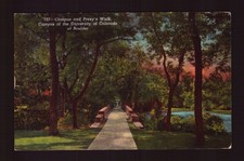 POSTCARD : COLORADO - BOULDER CO - UNIVERSITY OF CO CAMPUS & PREXY'S WALK 1948