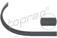 Topran 207 890 Keilrippenriemen FüR Alfa Romeo Passend FüR Fiat Opel