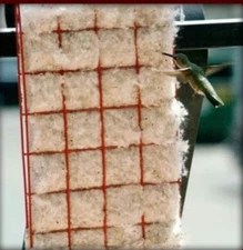  Hummingbird Helper NESTING MATERIAL & CAGE Songbird Essential HUMMER ATTRACTION