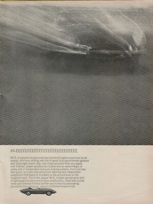 1966 Jaguar XK-E Spyder Different Breed of Cat Photo Sleek Vintage Print Ad