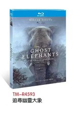Ghost Elephants 2025 1-D