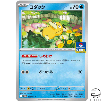 【PSA10】コダック ジムプロモ 5連番 262/SV-p GYM PROMO Psyduck 262/SV-P GYM PROMO Pokemon Card Japanese Scarlet & Violet