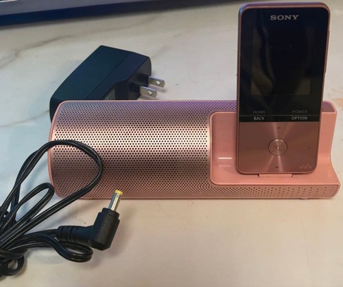 SONY NW S313K Walkman Speaker Portable Audio Accessory Bundle Ready to Use