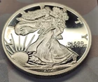 UNC 2021 American Eagle Silver Dollar- Commemorative Coin